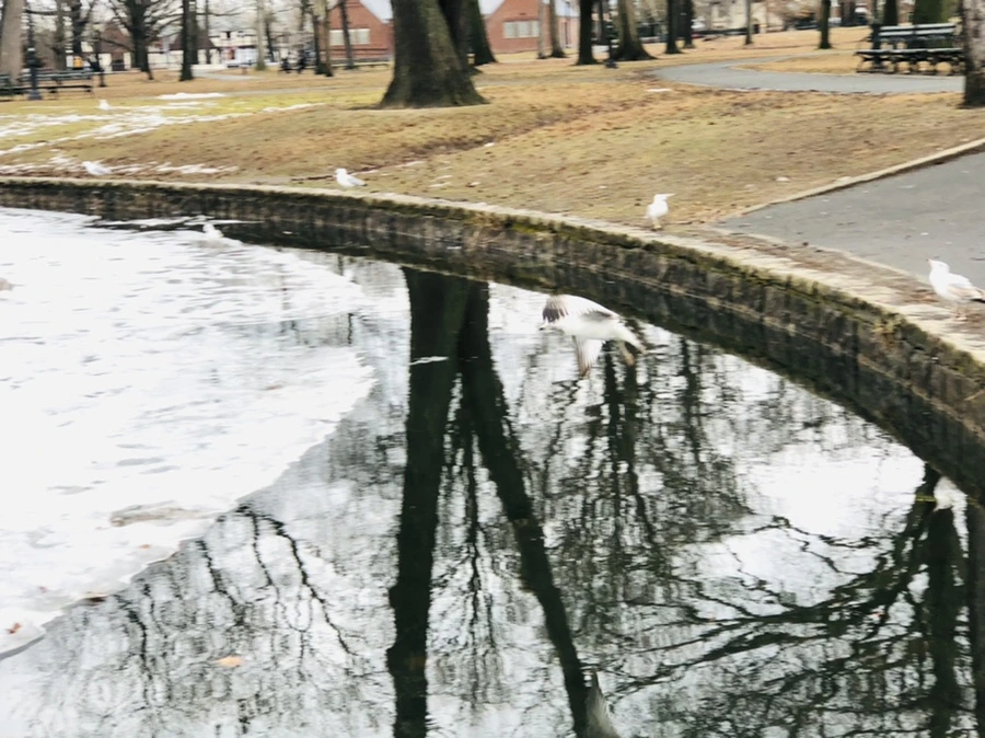 IMG_6502.jpg?type=w966