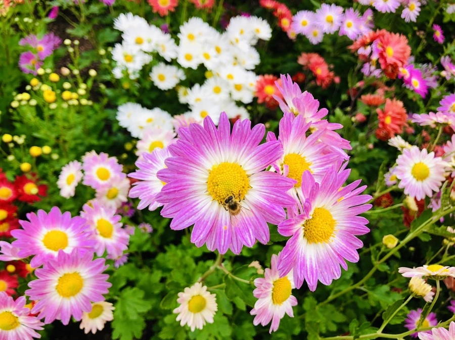 IMG_2573.jpg?type=w966