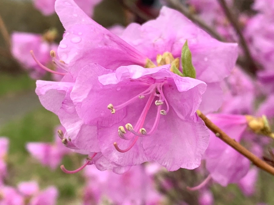 IMG_6176.jpg?type=w966