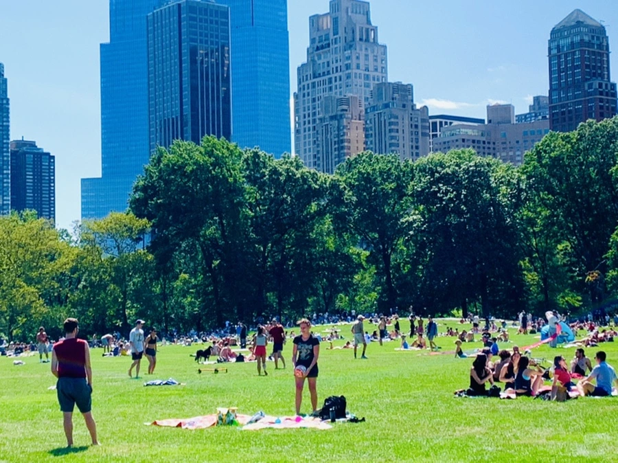 IMG_4386.jpg?type=w966