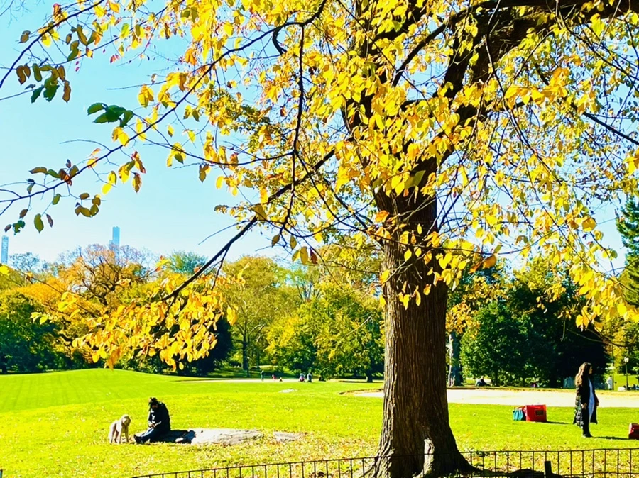 IMG_0569.jpg?type=w966