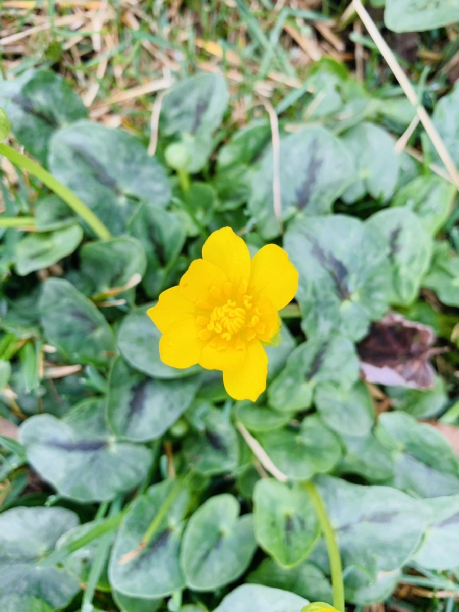 IMG_4029.jpg?type=w966