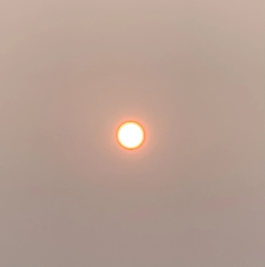 IMG_8172.jpg?type=w966