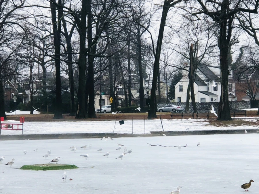 IMG_5744.jpg?type=w966