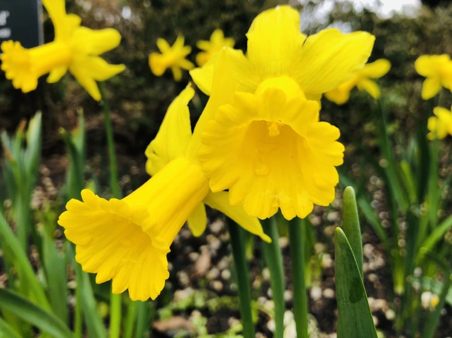 IMG_2006.jpg?type=w966