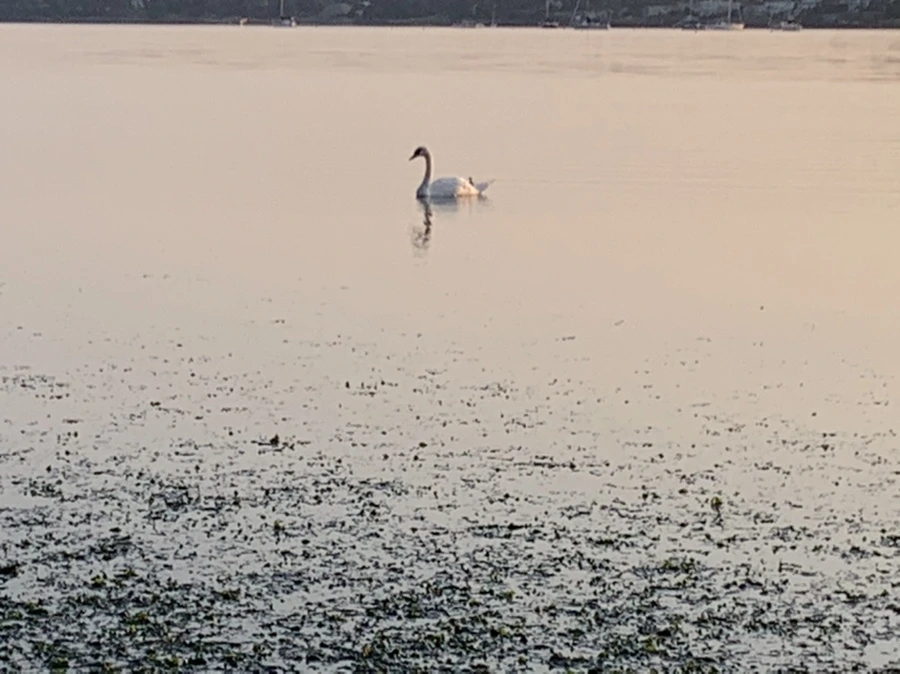 IMG_9624.jpg?type=w966