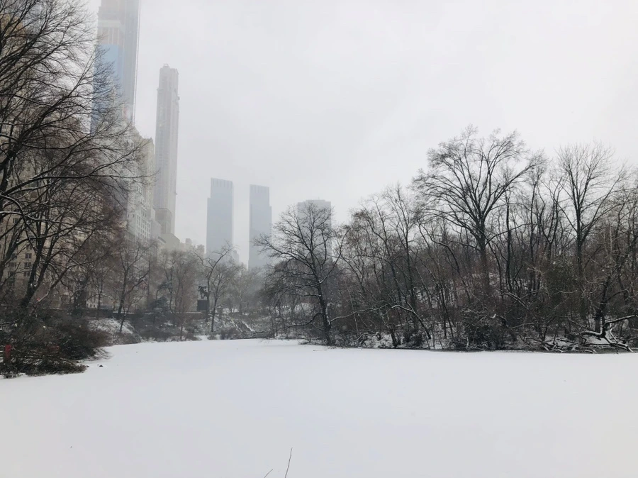 IMG_9532.jpg?type=w966