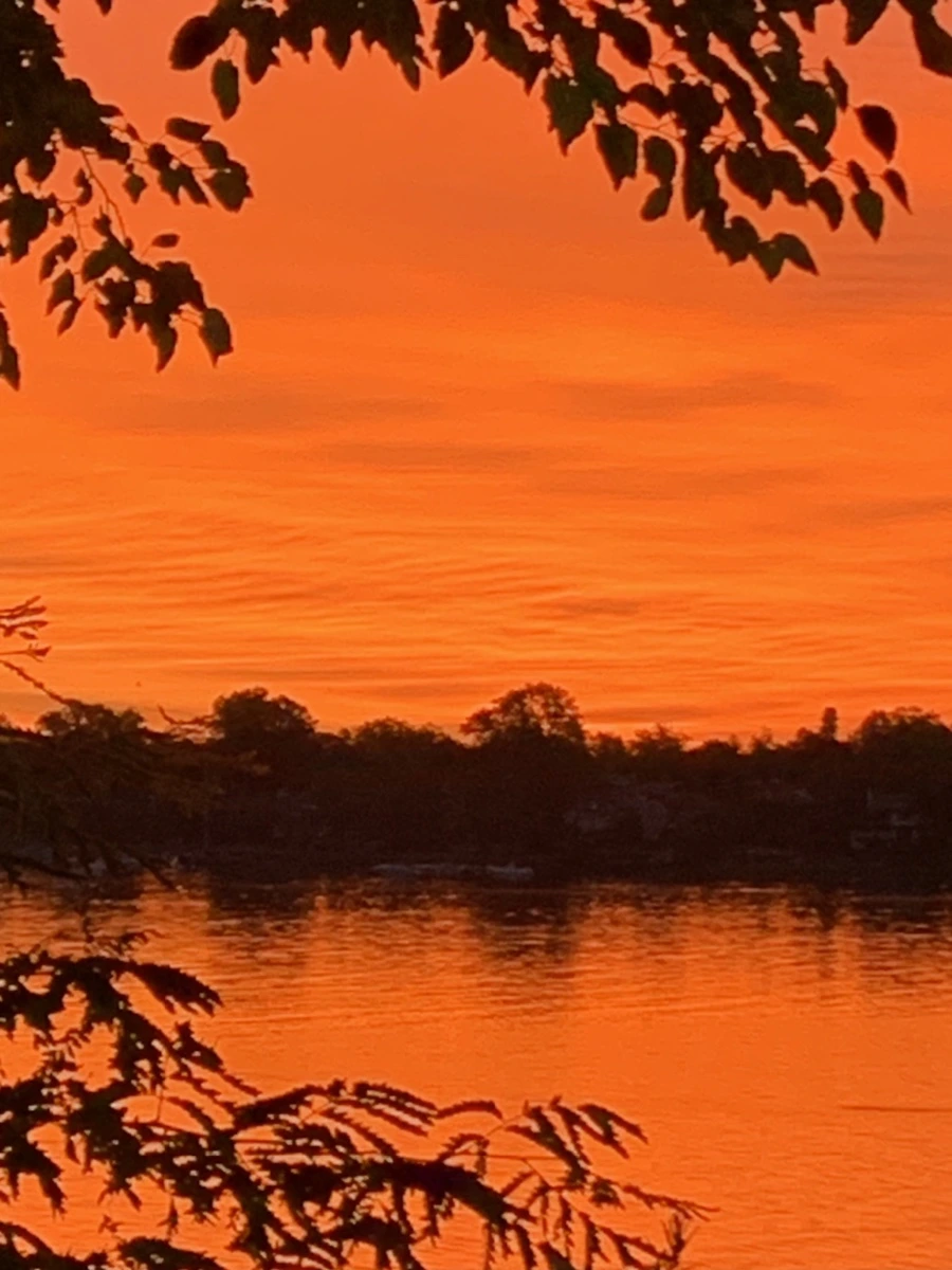 IMG_5835.jpg?type=w966