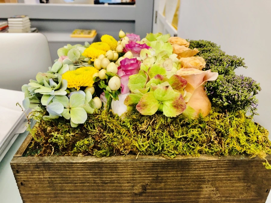 IMG_5530.jpg?type=w966