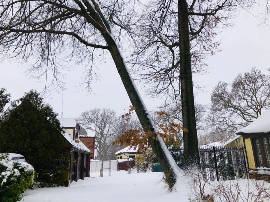 wVQ-7PdfzLLDL_xLCydNZNVm46Y