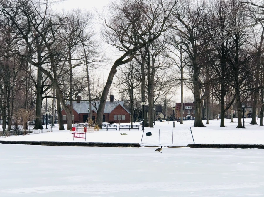 IMG_4396.jpg?type=w966