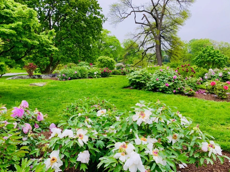 IMG_9981.jpg?type=w966