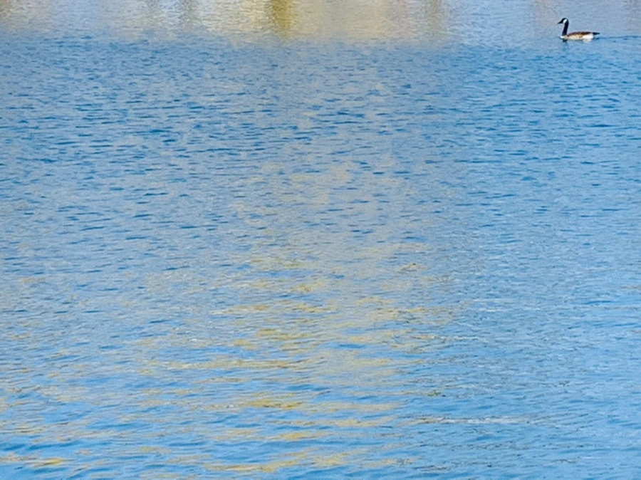 IMG_9905.jpg?type=w966