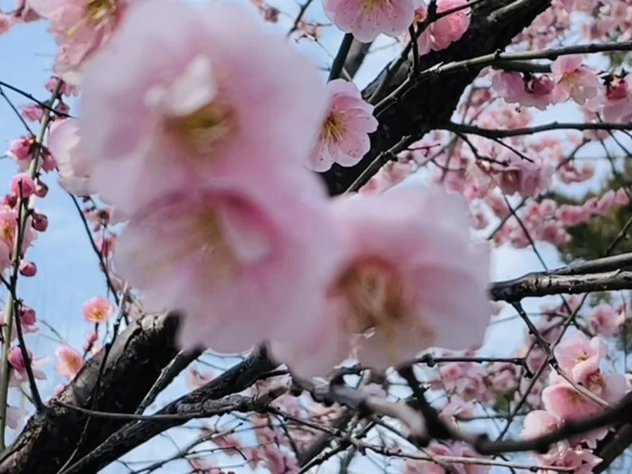 IMG_6623.jpg?type=w966