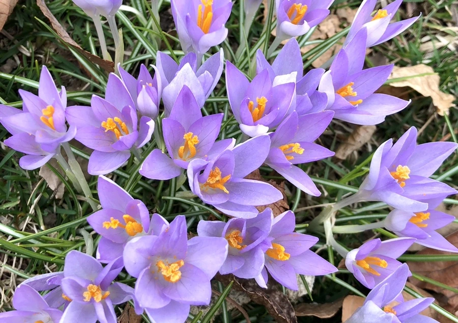 IMG_1992.jpg?type=w966