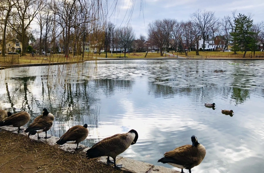 IMG_5060.jpg?type=w966