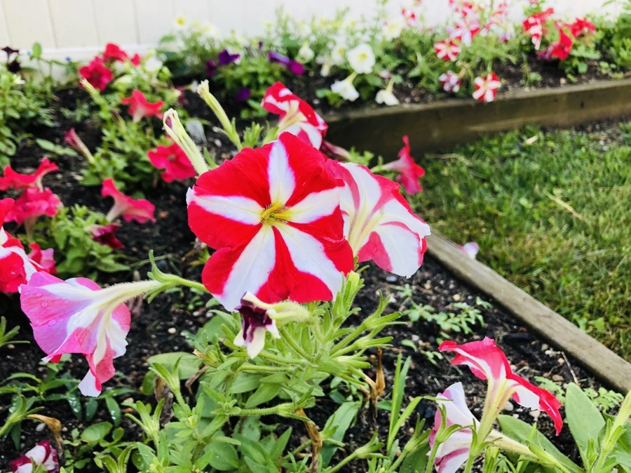 IMG_2142.jpg?type=w966