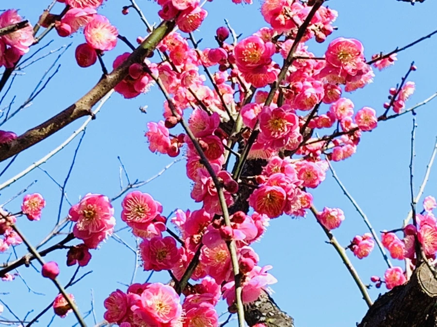 IMG_3022.jpg?type=w966