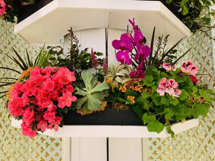 IMG_1588.jpg?type=w966