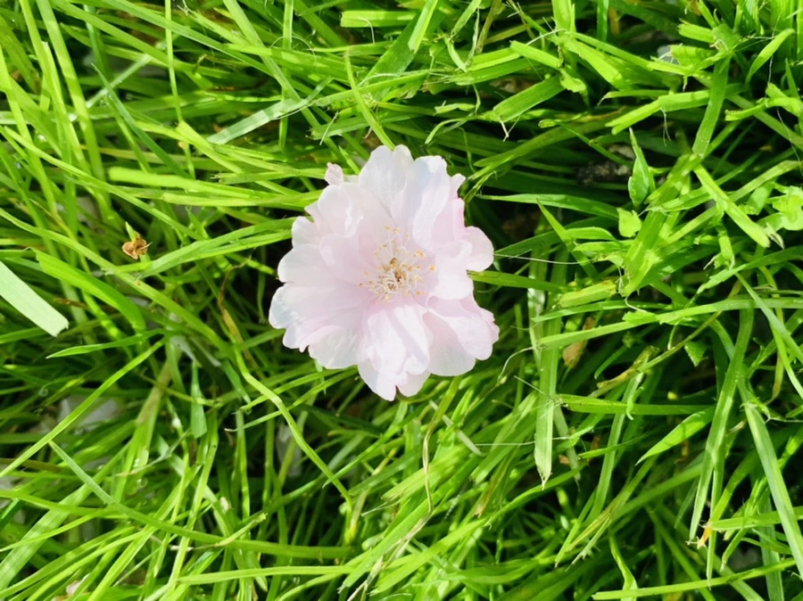 IMG_6692.jpg?type=w966