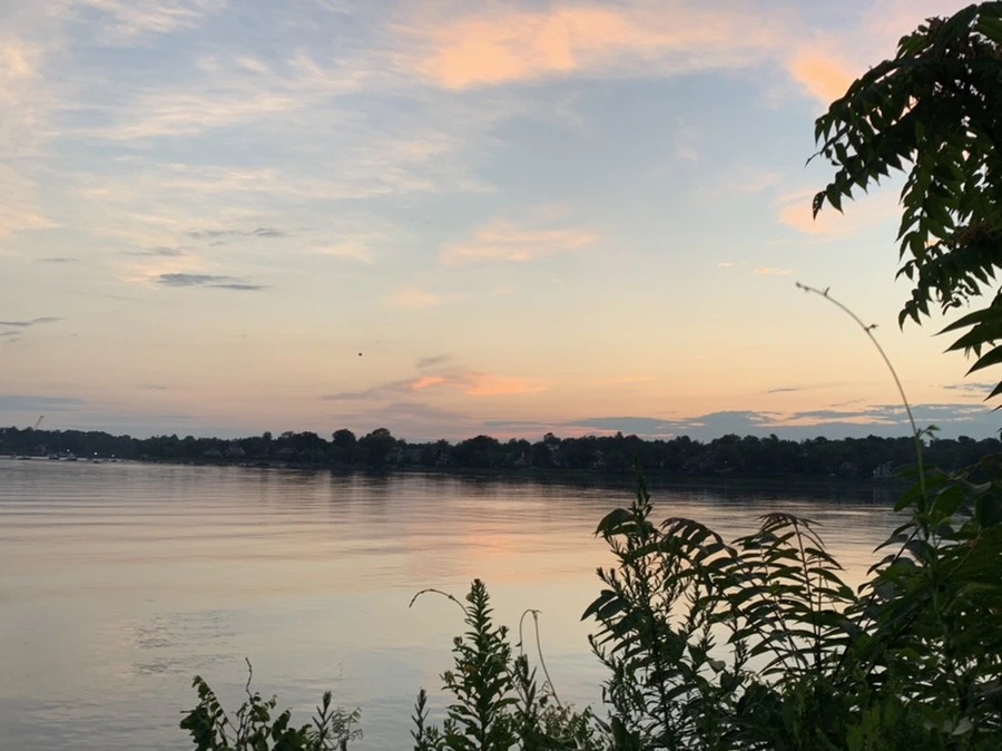 IMG_1168.jpg?type=w966