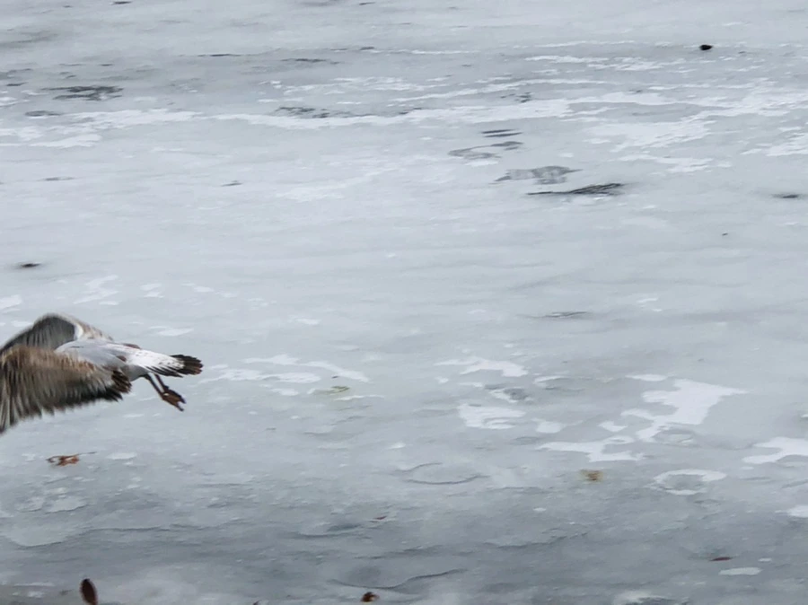 IMG_6270.jpg?type=w966