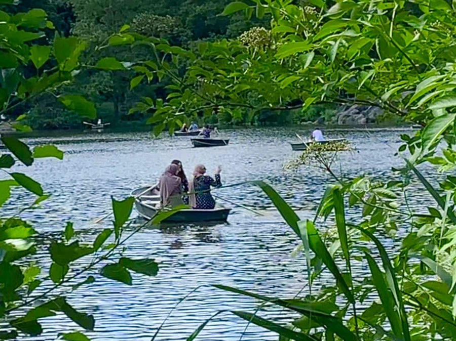 IMG_6411.jpg?type=w966