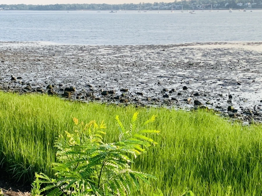 IMG_9813.jpg?type=w966