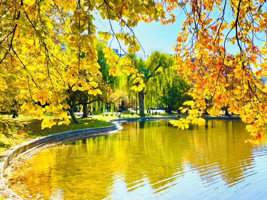 IMG_2566.jpg?type=w966