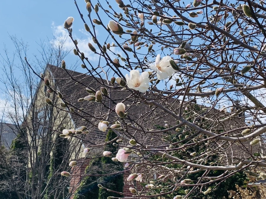 IMG_4357.jpg?type=w966