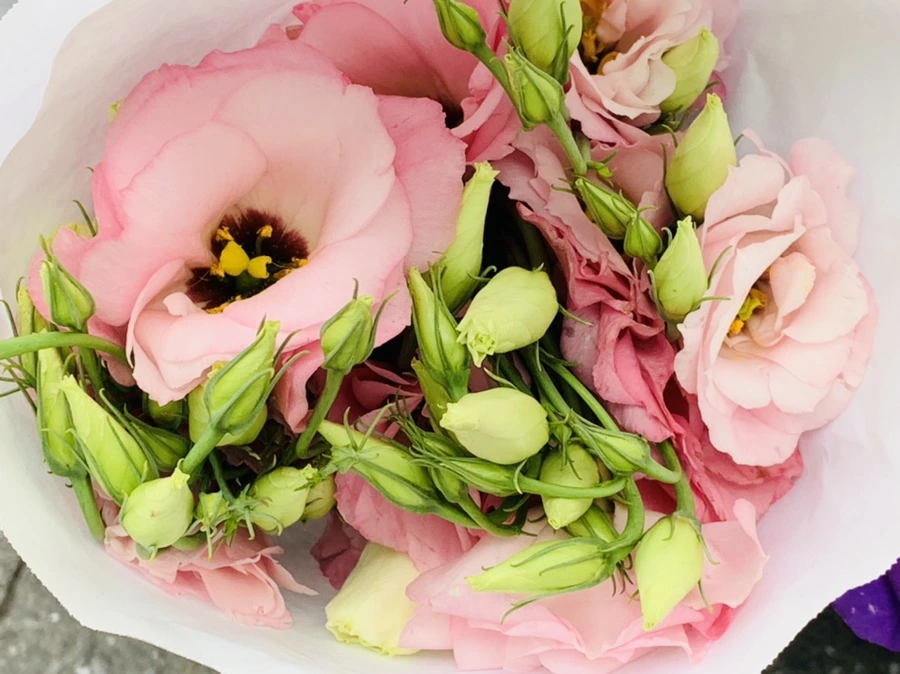 IMG_3303.jpg?type=w966