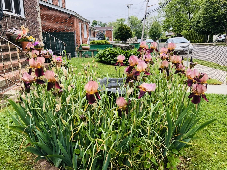 IMG_7430.jpg?type=w966