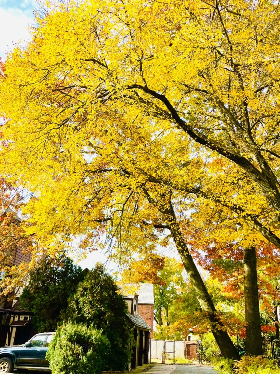 IMG_2242.jpg?type=w966