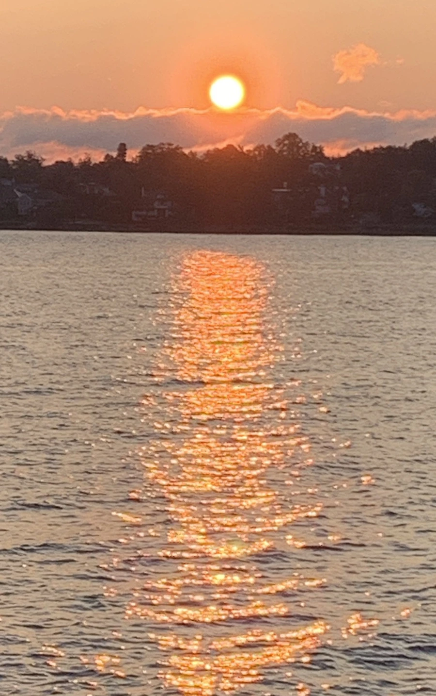 IMG_5489.jpg?type=w966