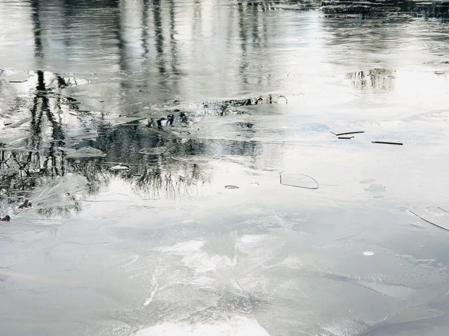 IMG_4783.jpg?type=w966