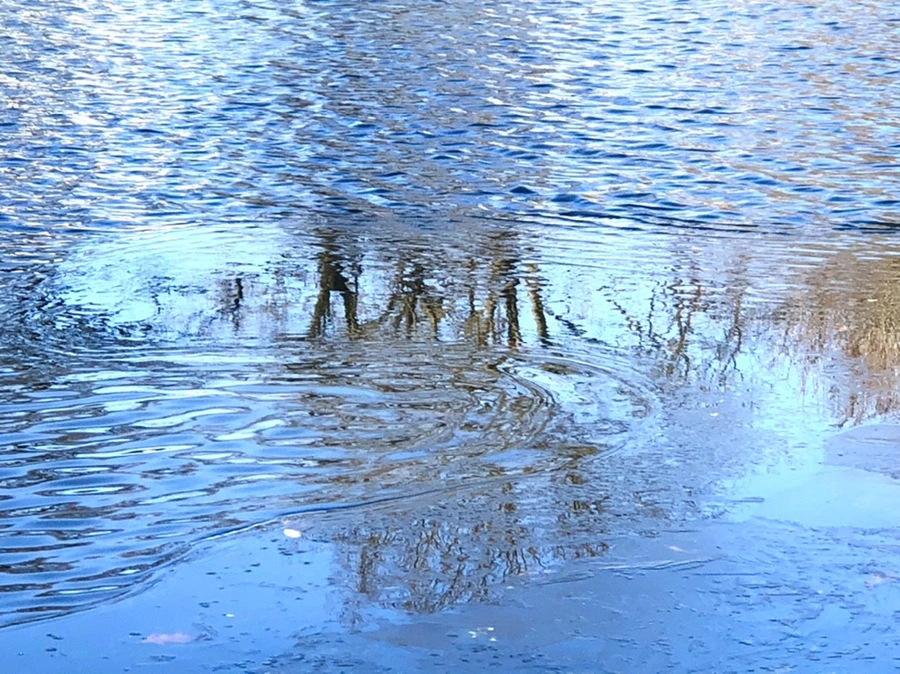 IMG_0570.jpg?type=w966