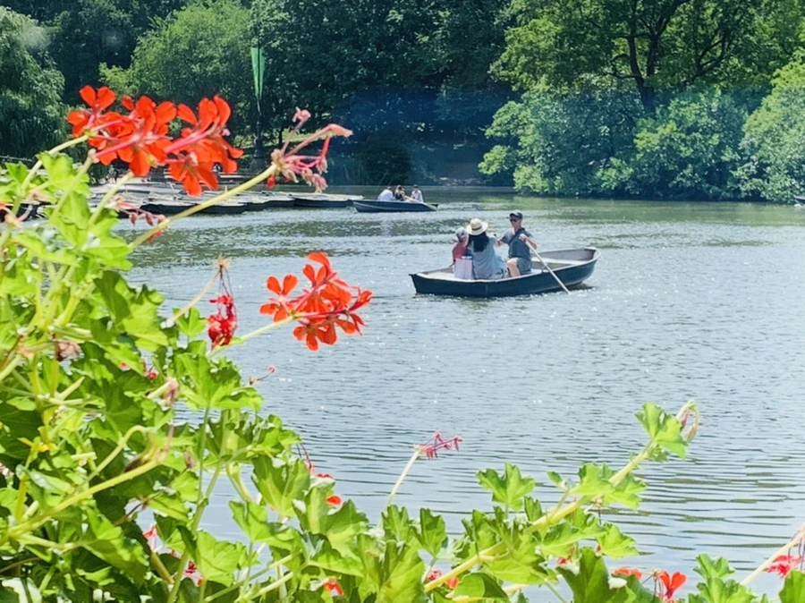 IMG_8590.jpg?type=w966