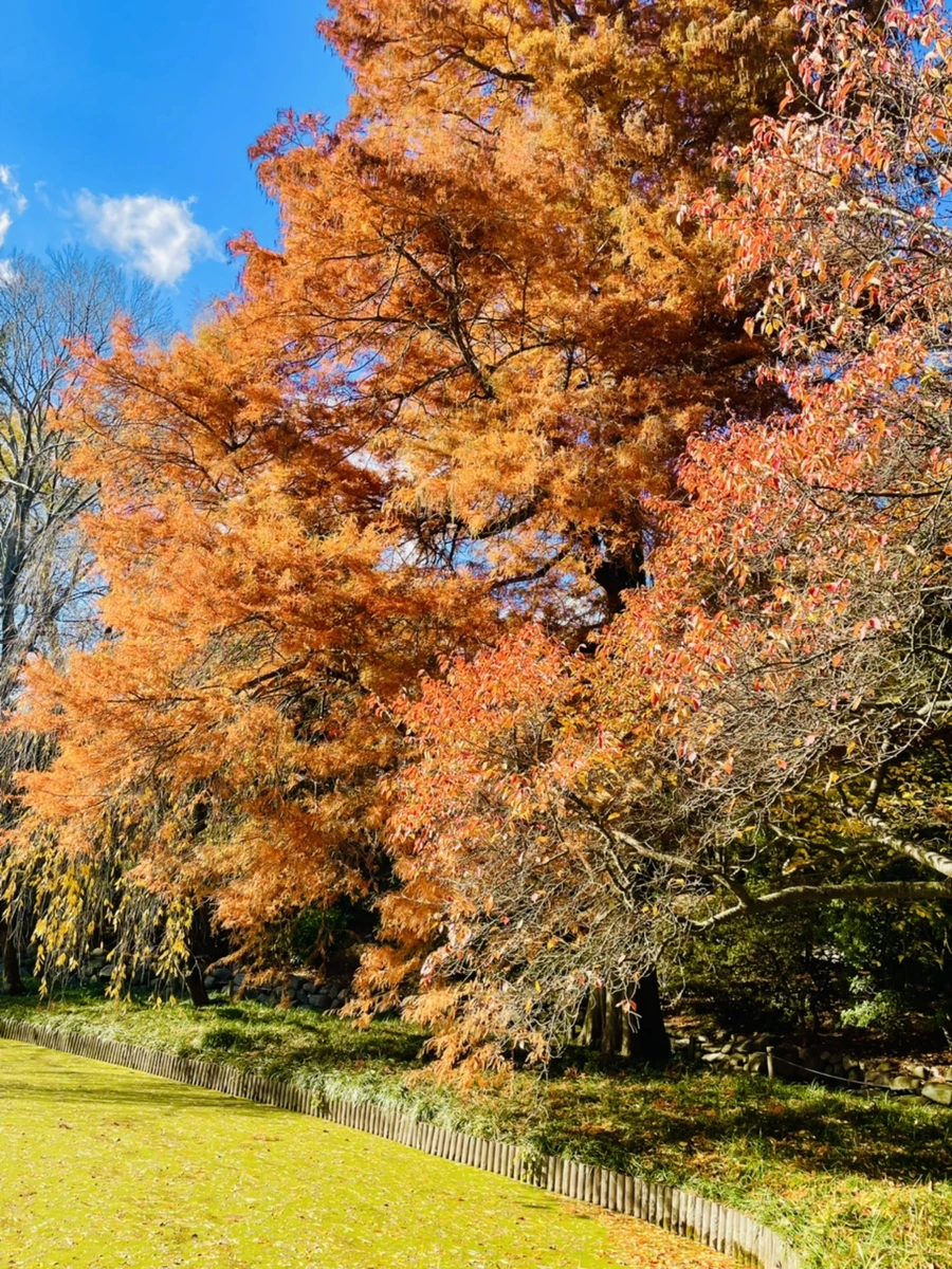 IMG_3062.jpg?type=w966