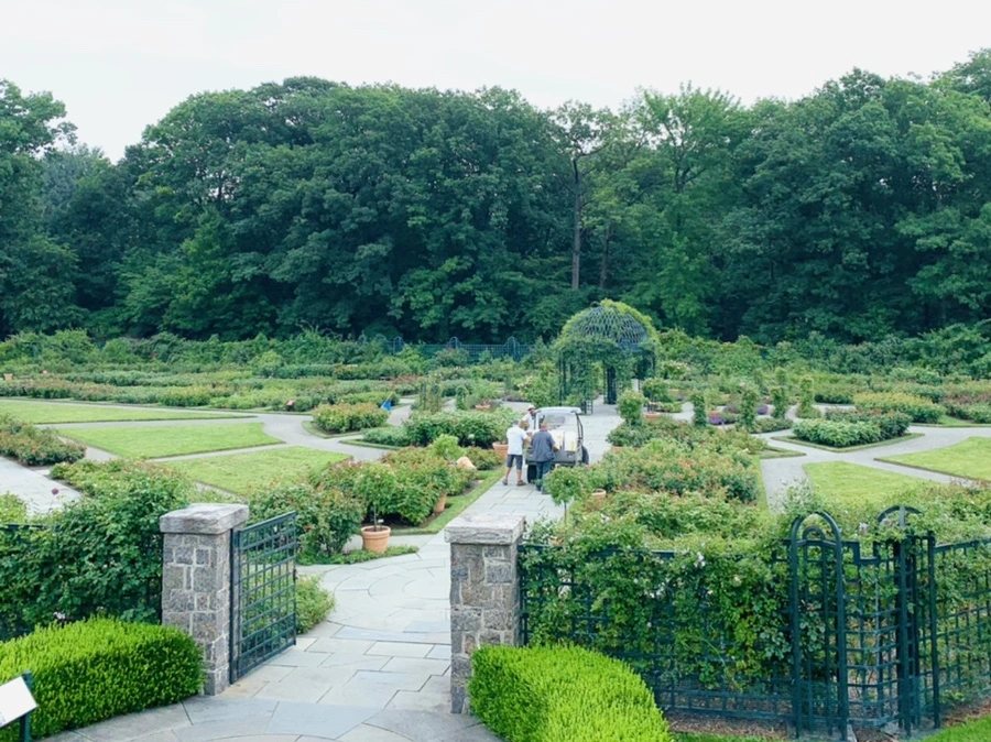 IMG_2702.jpg?type=w966