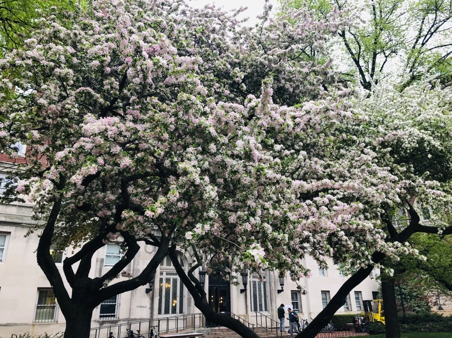 IMG_3600.jpg?type=w966