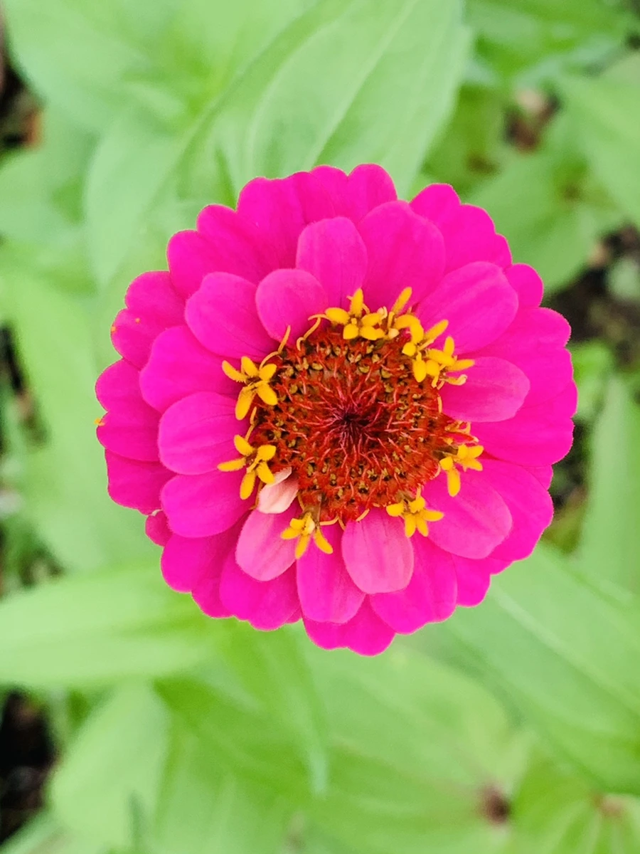 IMG_9610.jpg?type=w966