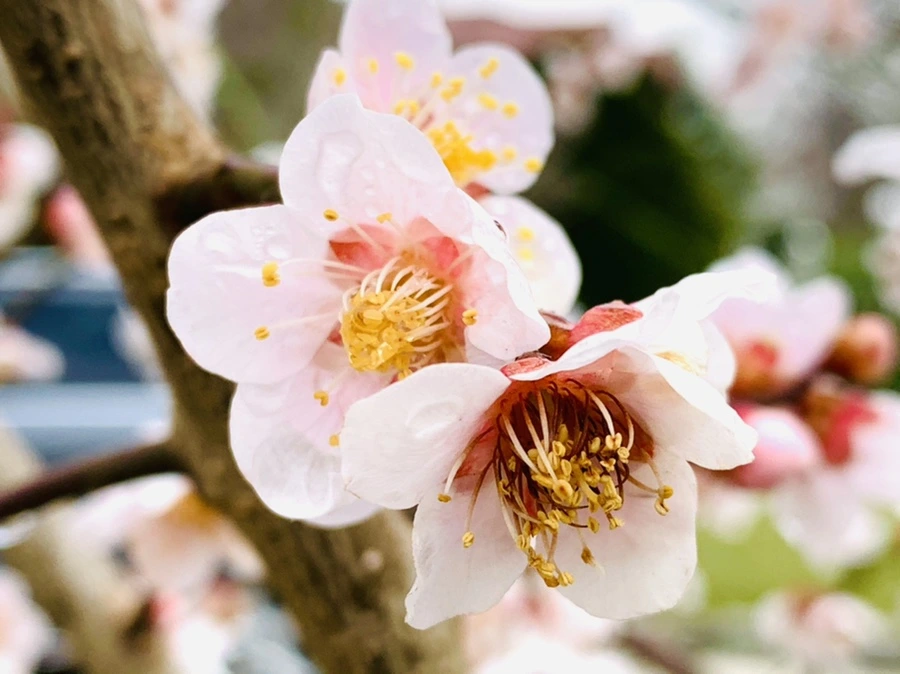 IMG_3904.jpg?type=w966