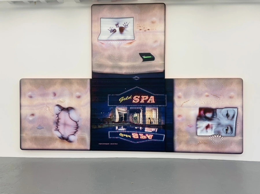 IMG_7445.jpg?type=w966