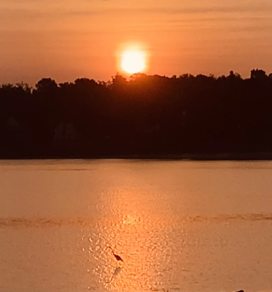 IMG_7721.jpg?type=w966