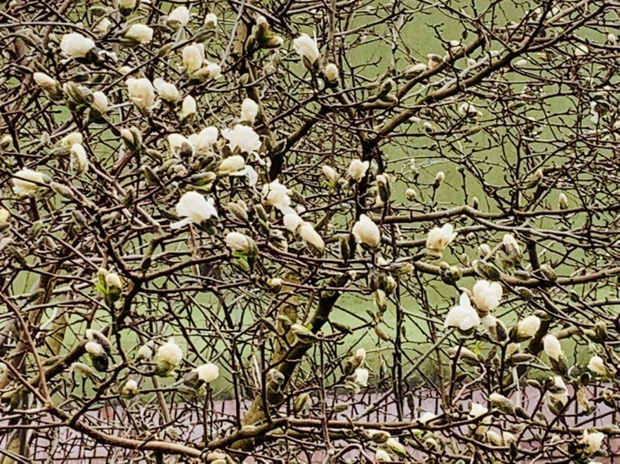 IMG_5323.jpg?type=w966