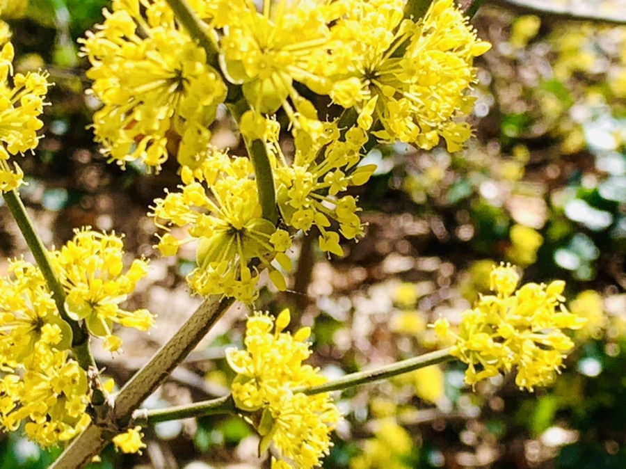 IMG_5688.jpg?type=w966