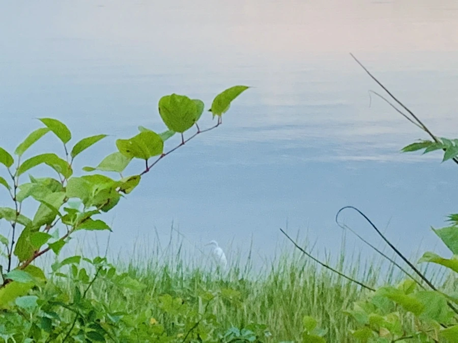 IMG_0512.jpg?type=w966