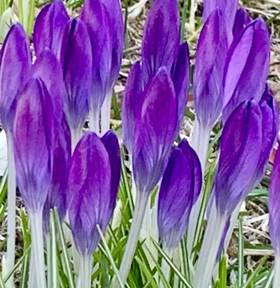 k4aS4d5o3BO8vB4bSbamyONJqj8