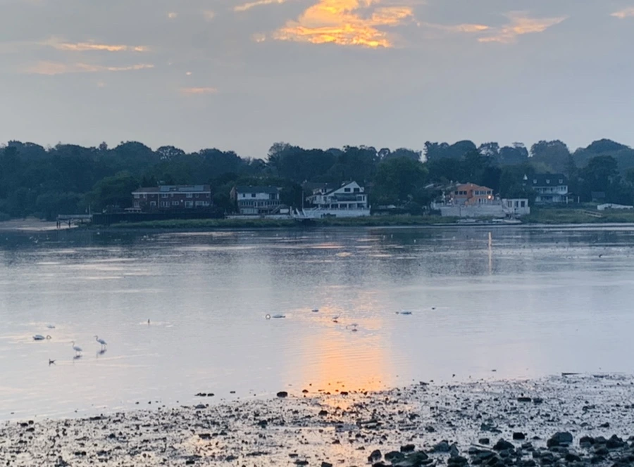 IMG_8194.jpg?type=w966