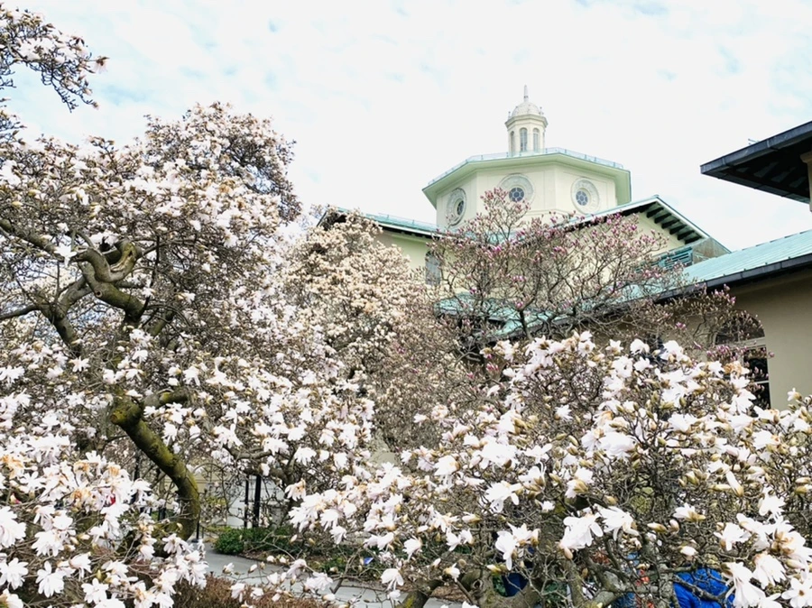 IMG_7191.jpg?type=w966